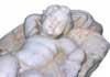 Ephesus Museum