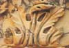 Ephesus Museum