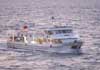 Kusadasi / Samos Ferry Boat - Kusadasi Express