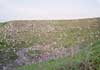 Laodicea
