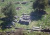 Priene