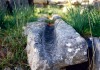 Priene
