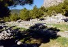 Priene
