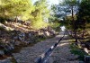 Priene