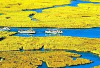 Dalyan - Kusadasi Package Programs