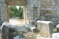 Perge