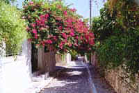 Samos Island