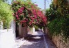 Samos Island / Greece