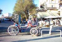 Aegina Island - Athens Package Programs