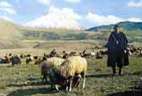 Eastern Anatolia Region of Turkey