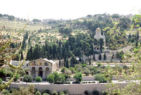 Mounth of Olives - Israel