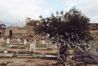 PERGAMUM - LIBRARY