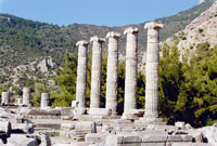 Priene